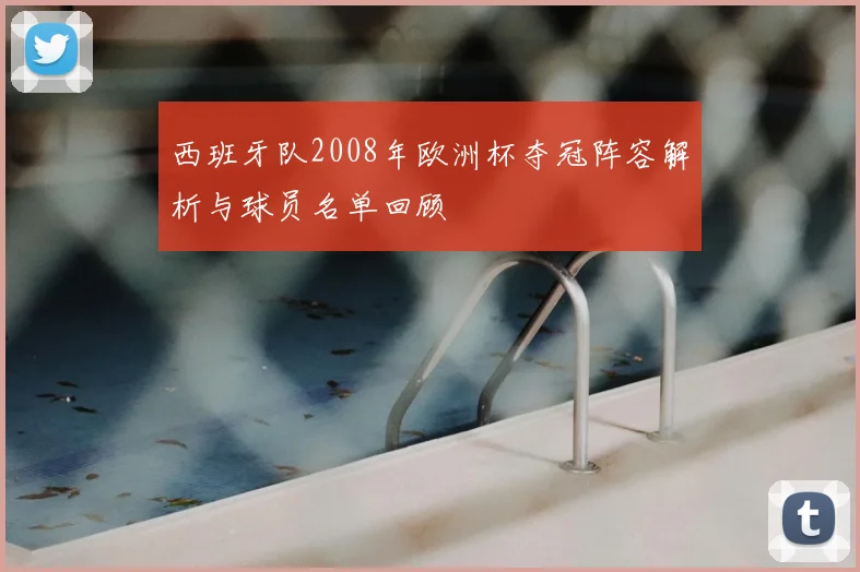 西班牙队2008年欧洲杯夺冠阵容解析与球员名单回顾