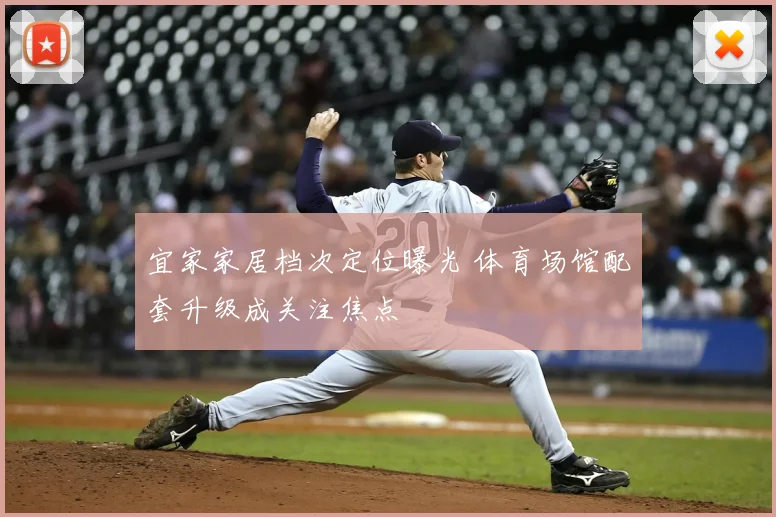 宜家家居档次定位曝光 体育场馆配套升级成关注焦点