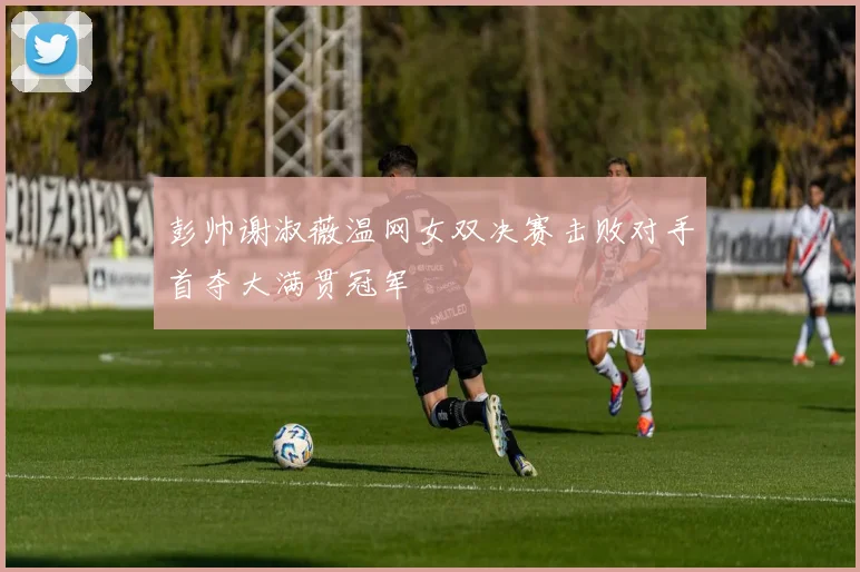 彭帅谢淑薇温网女双决赛击败对手首夺大满贯冠军