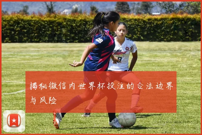 揭秘微信内世界杯投注的合法边界与风险