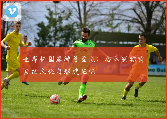 世界杯国家绰号盘点：各队别称背后的文化与球迷记忆