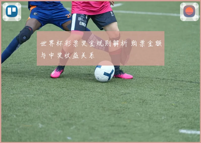 世界杯彩票奖金规则解析 购票金额与中奖收益关系